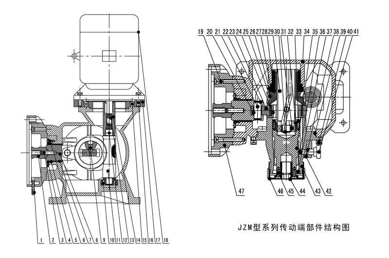 JZM機(jī)械隔膜計(jì)量泵部件結(jié)構(gòu)圖